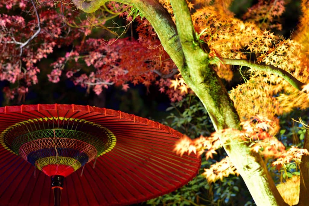 Traditional Boat Ride