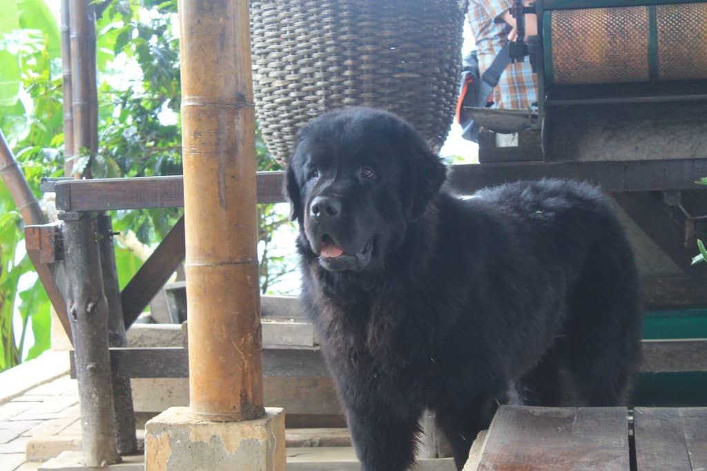 The Full Coffee Journey