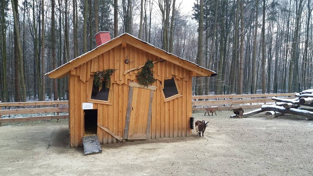 Petting Zoo & Deer Enclosure