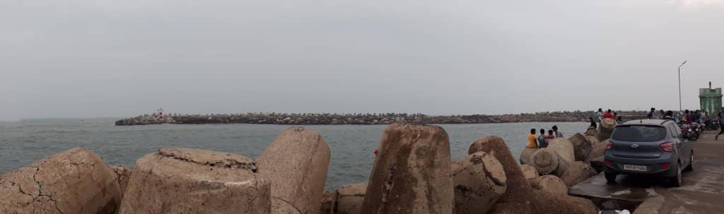 The Daily Fish Auction