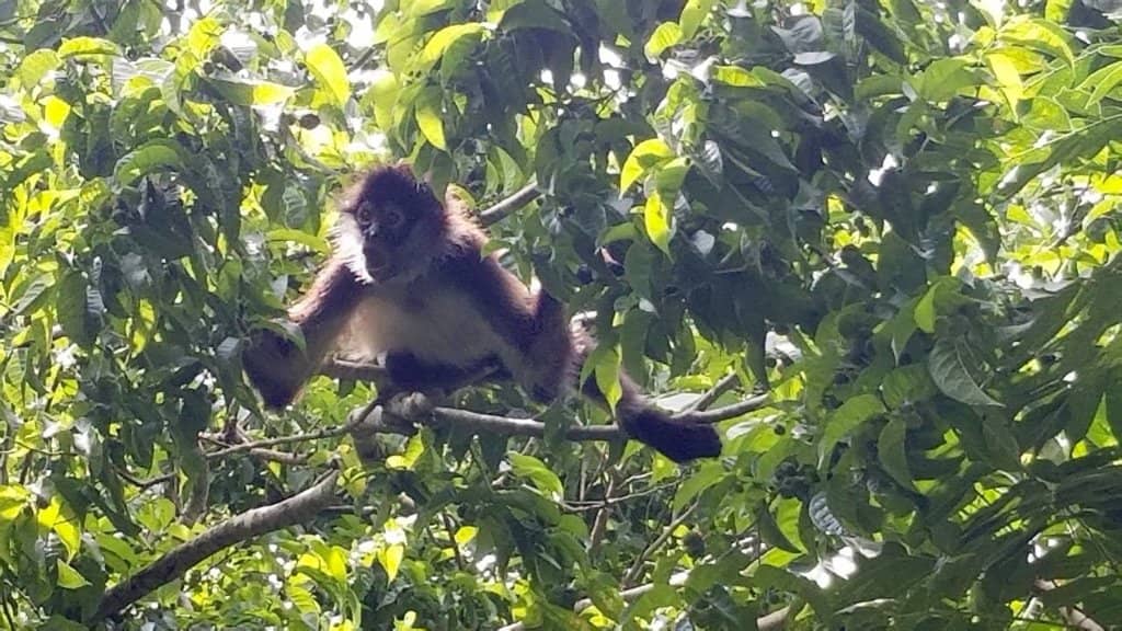 Bird Watching Paradise