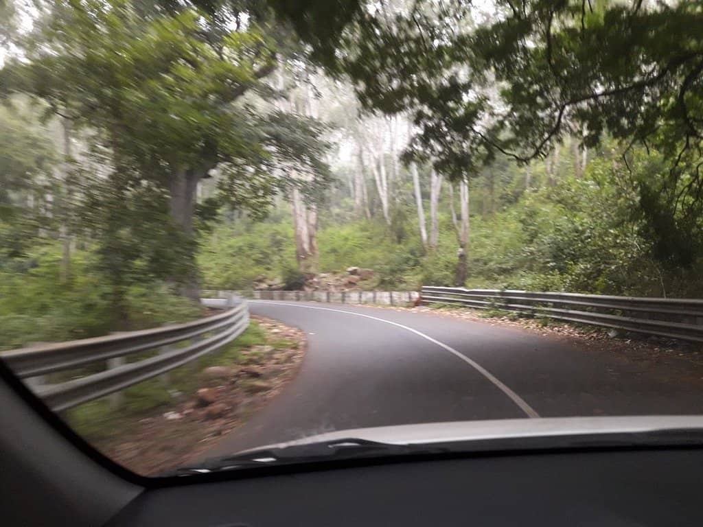 Local Shops & Eateries