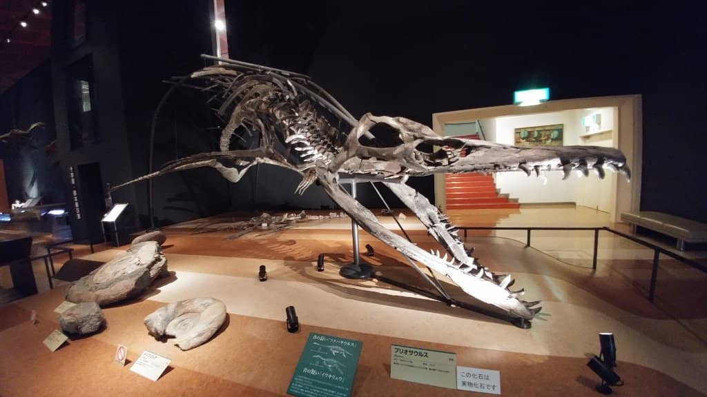 Steam Locomotive Display