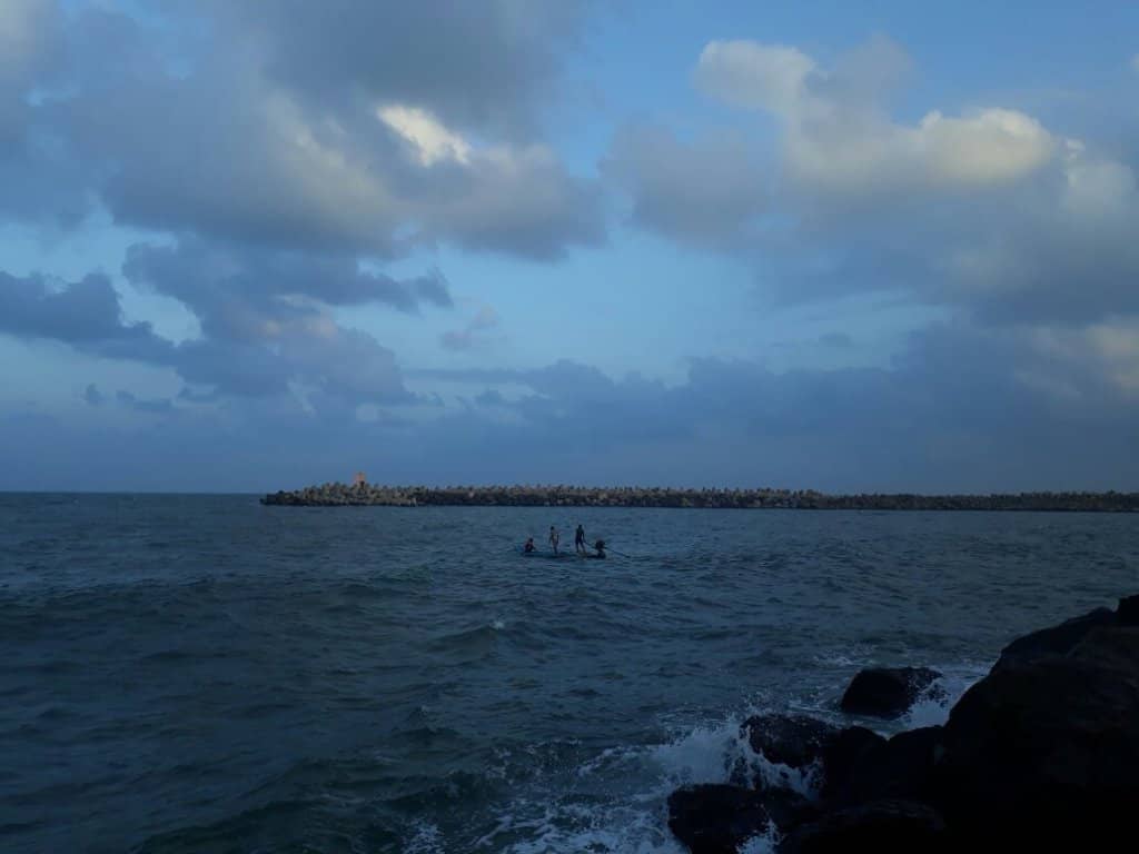 Variety of Fresh Seafood
