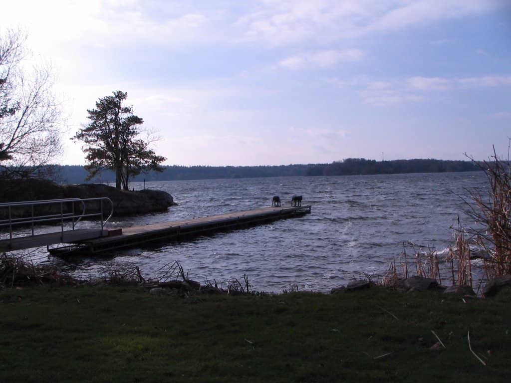 Kayak Launch Point