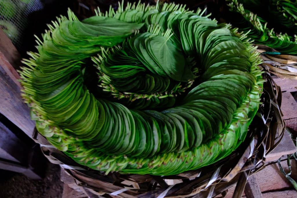 Daily Life Immersion