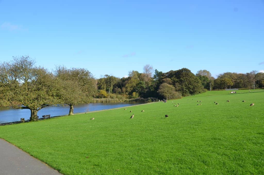 Boating Lake
