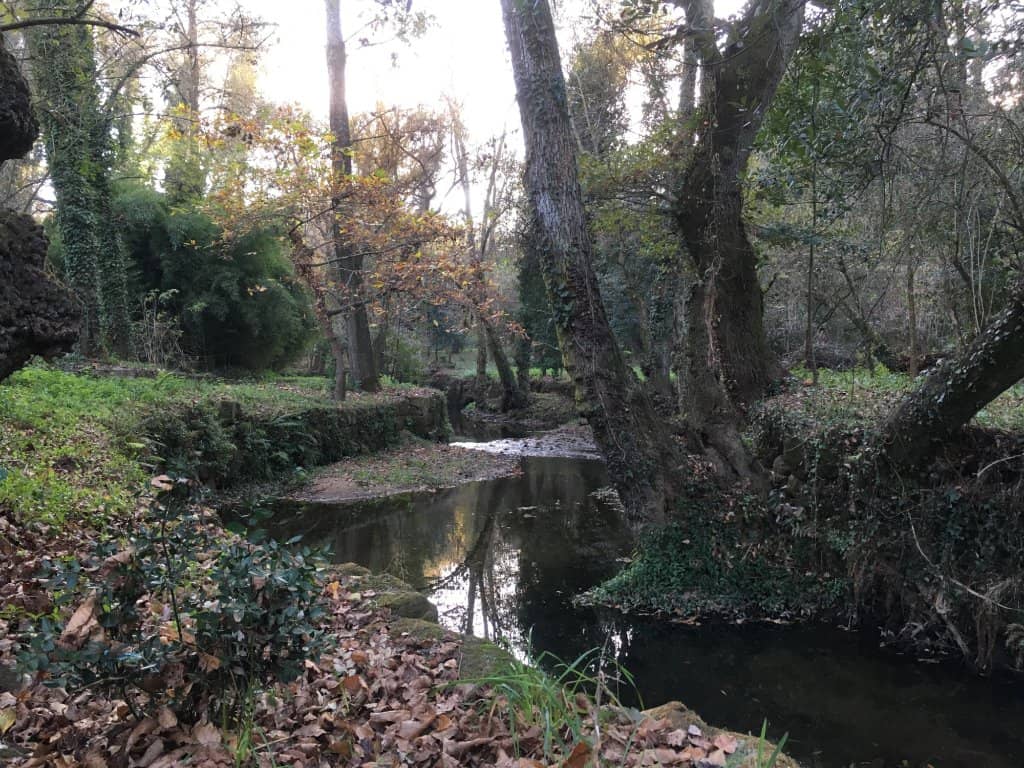 Woodland Trails