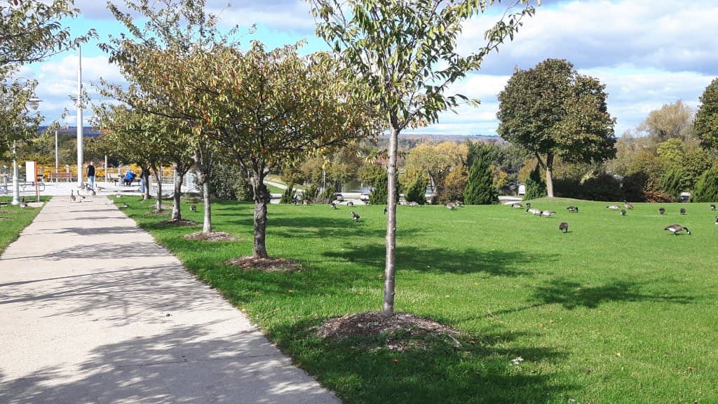 Waterfront Trails
