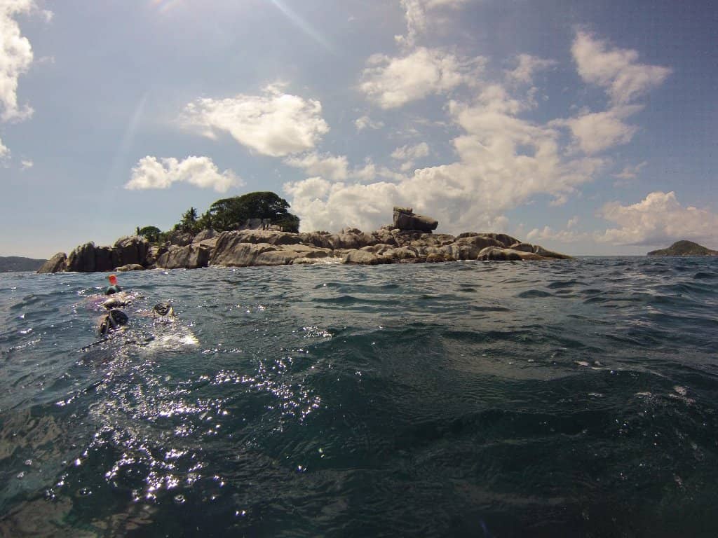 Spectacular Dusk Wildlife