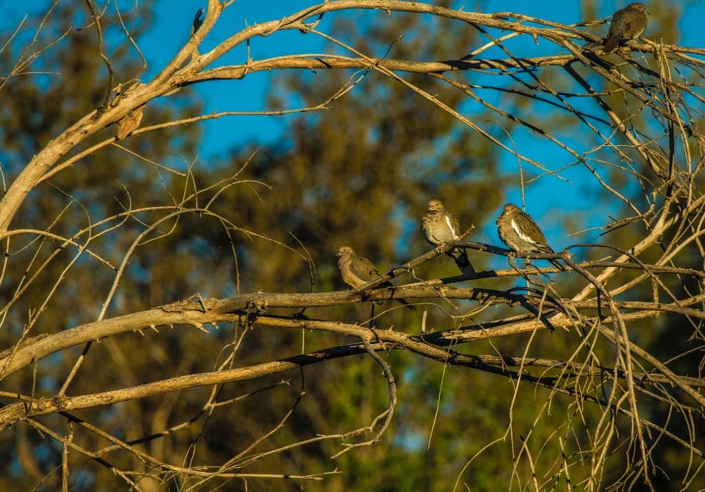 Highlights