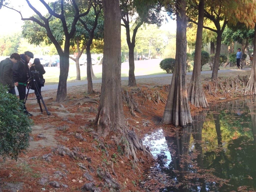 Shen Yun Performance Hall
