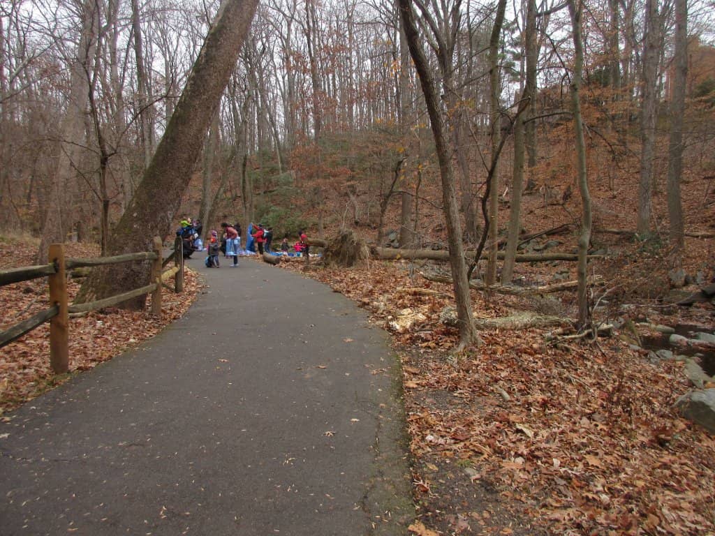 Long Branch Stream
