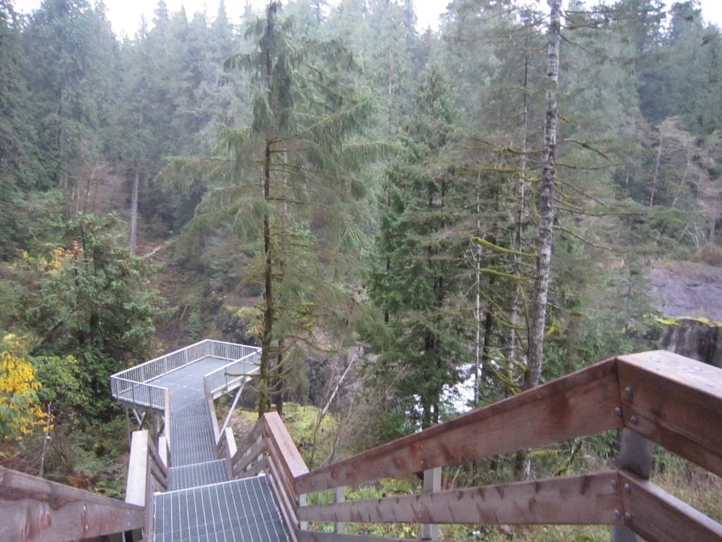 Vertical photo