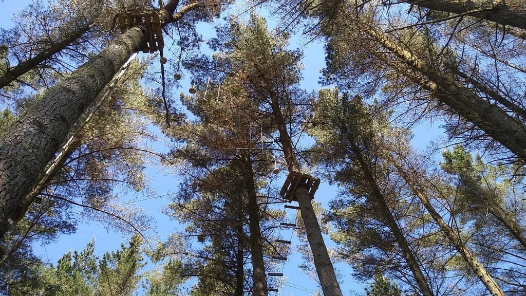 Multiple Skill Levels