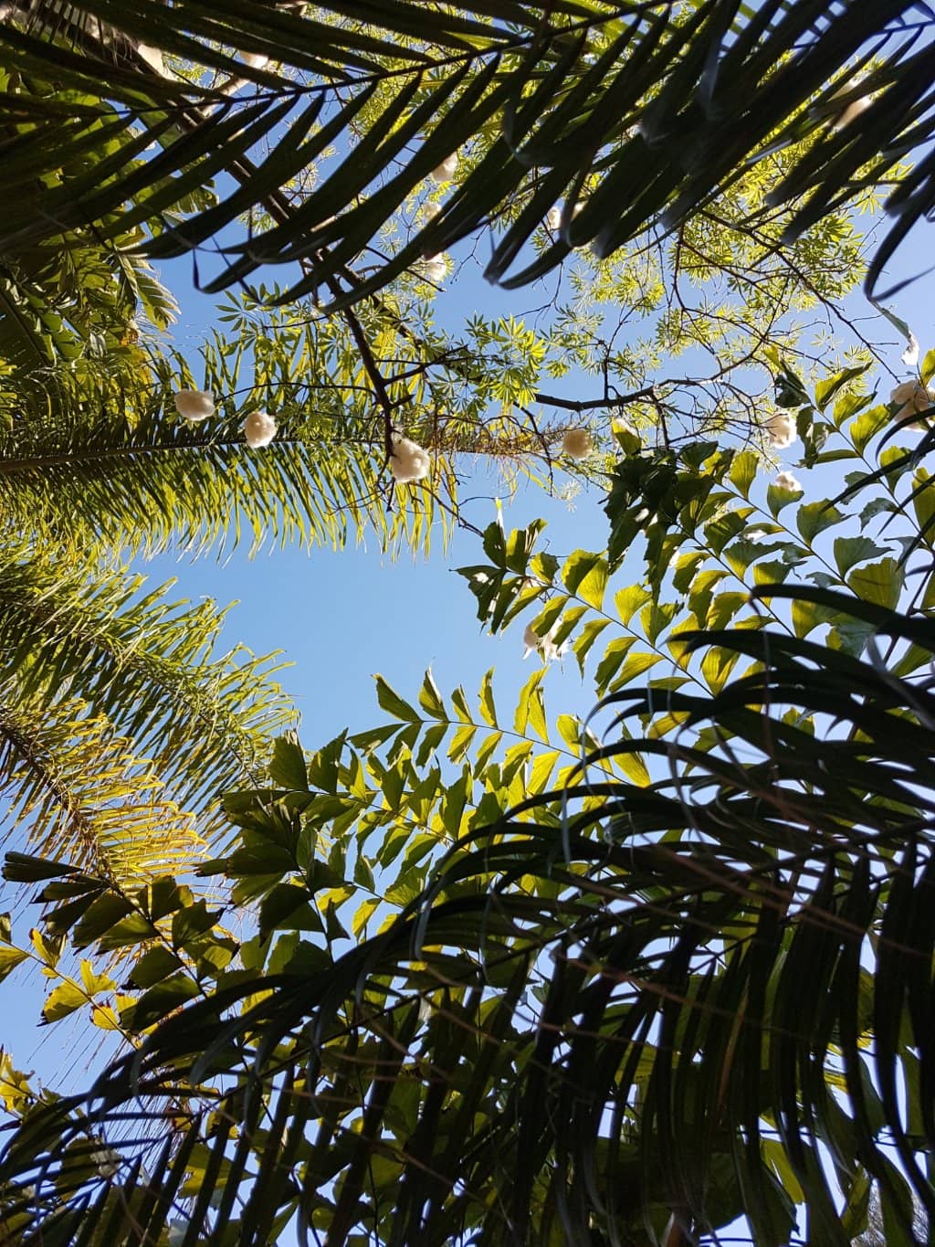 Vertical photo