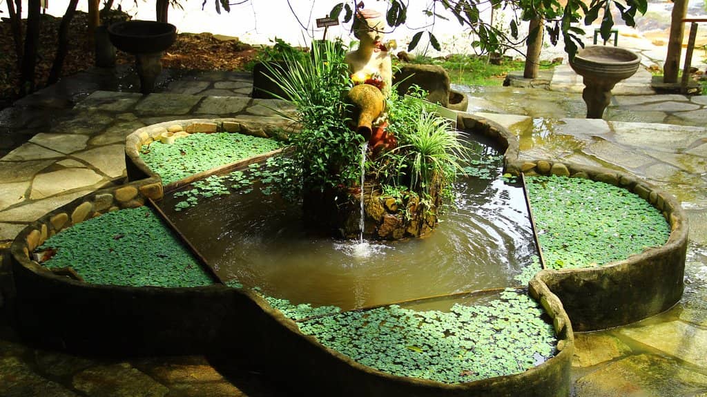 Clay Bath Experience