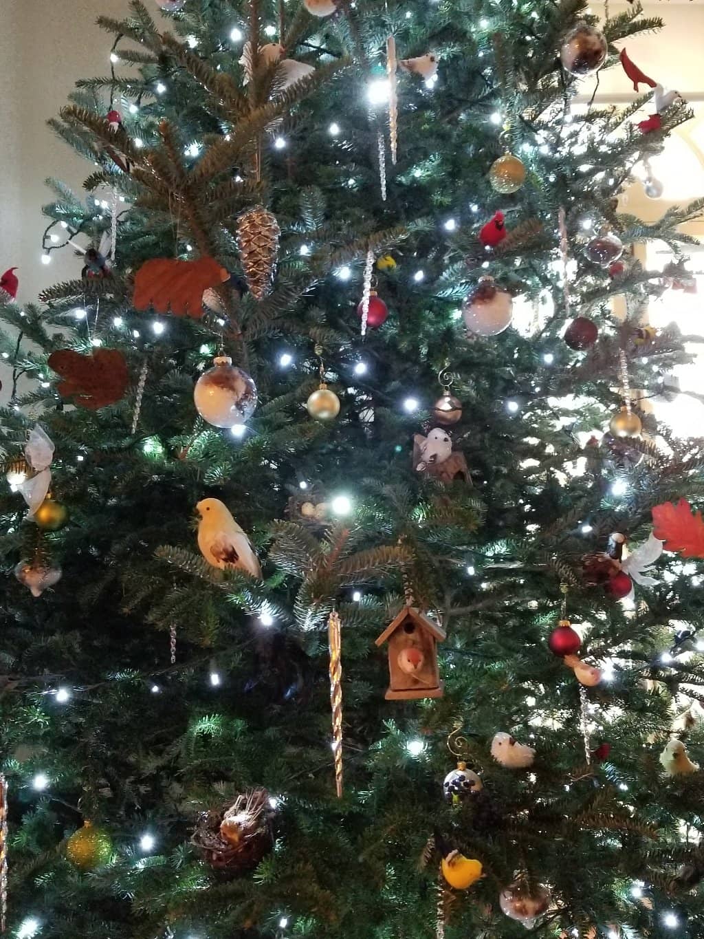 Extensive Hiking Trails