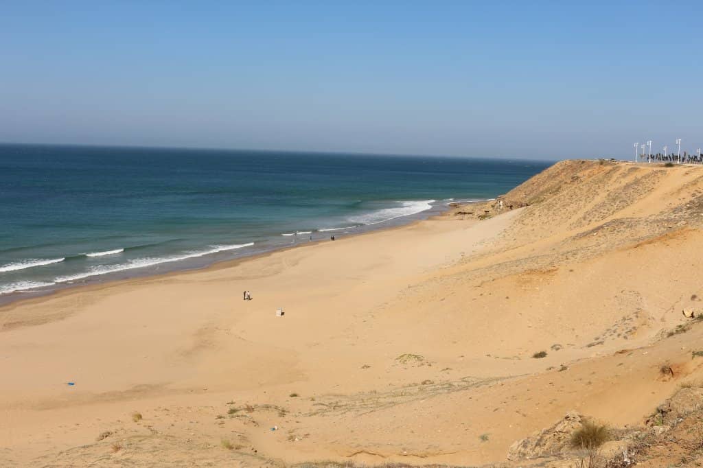 Horse and Camel Rides