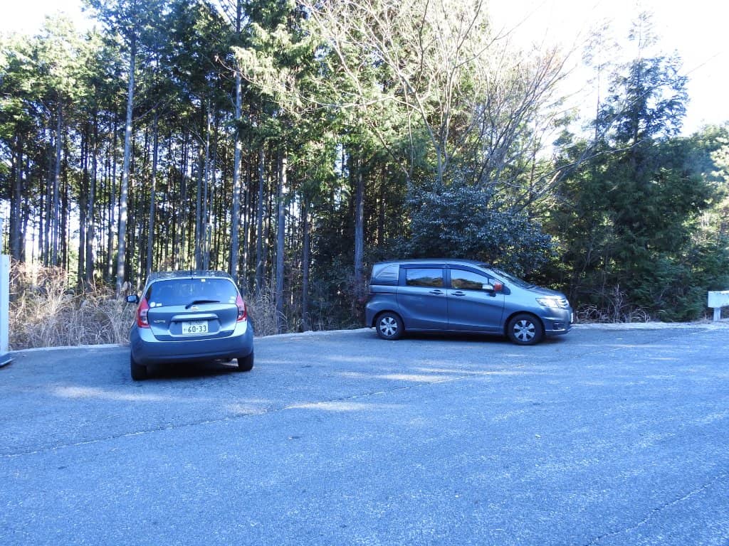 Panoramic City Views