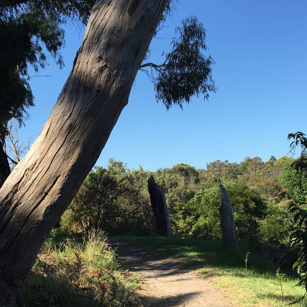 Children's Playground