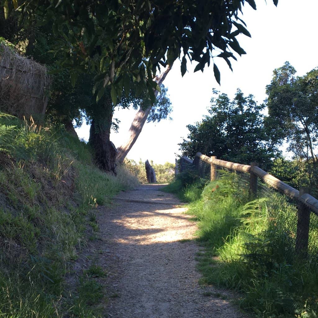 Vertical photo
