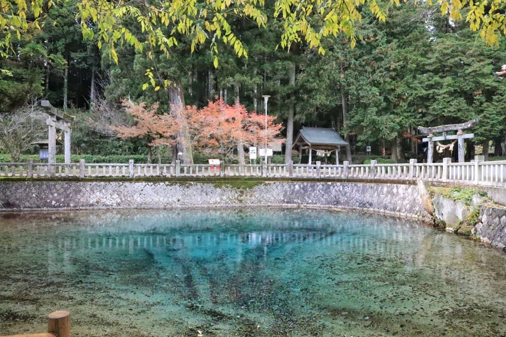 Sacred Spring Water