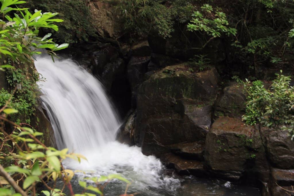 The First Falls