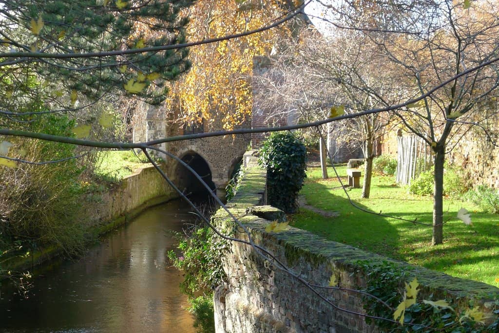 Dyers Border