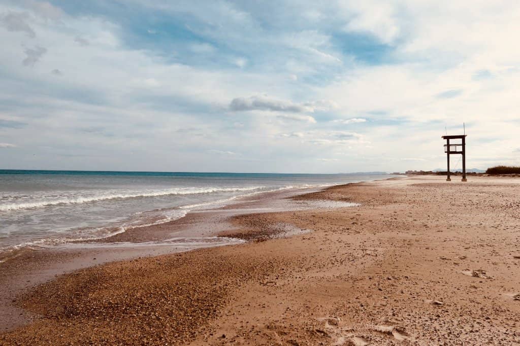 Dune-Protected Beach