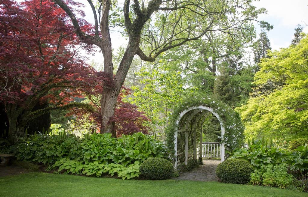 Diverse Garden Sections