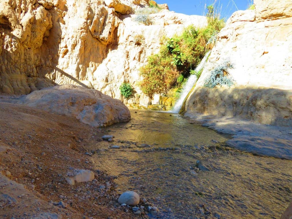 Rothschild Boulevard's Bauhaus