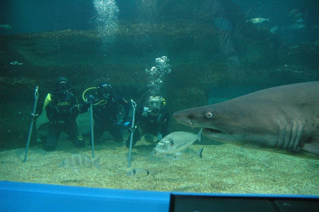 Interactive Touch Pool