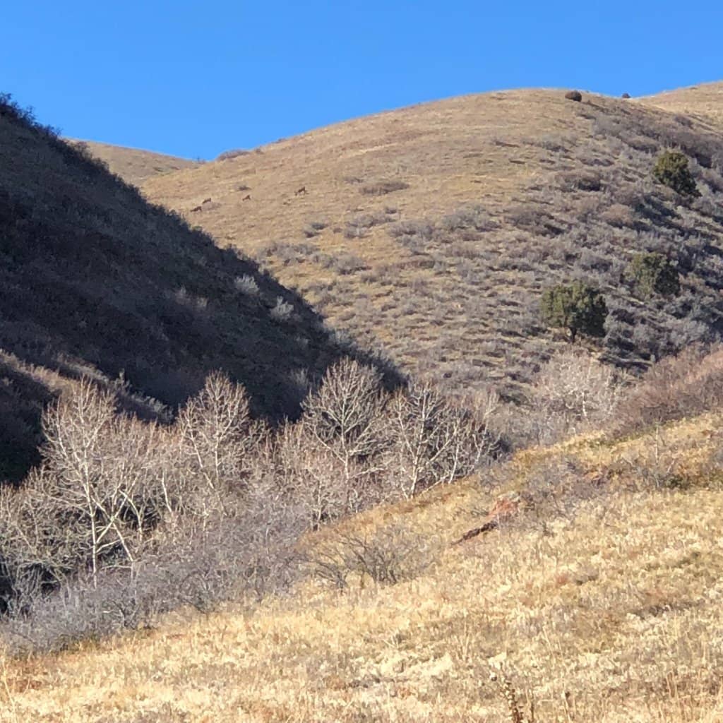 Turkey Trot Trail