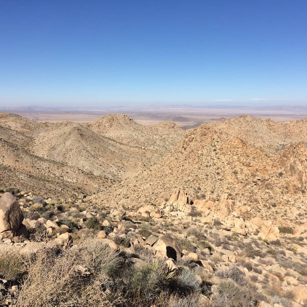Joshua Tree Desert Scenery