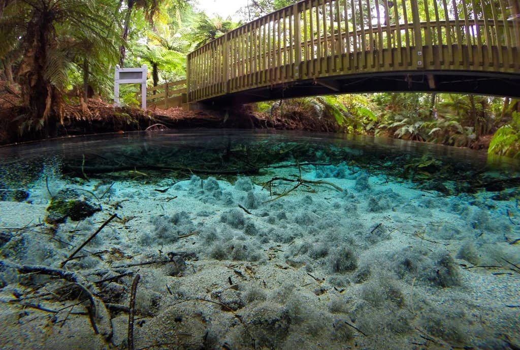 Crystal Clear Springs