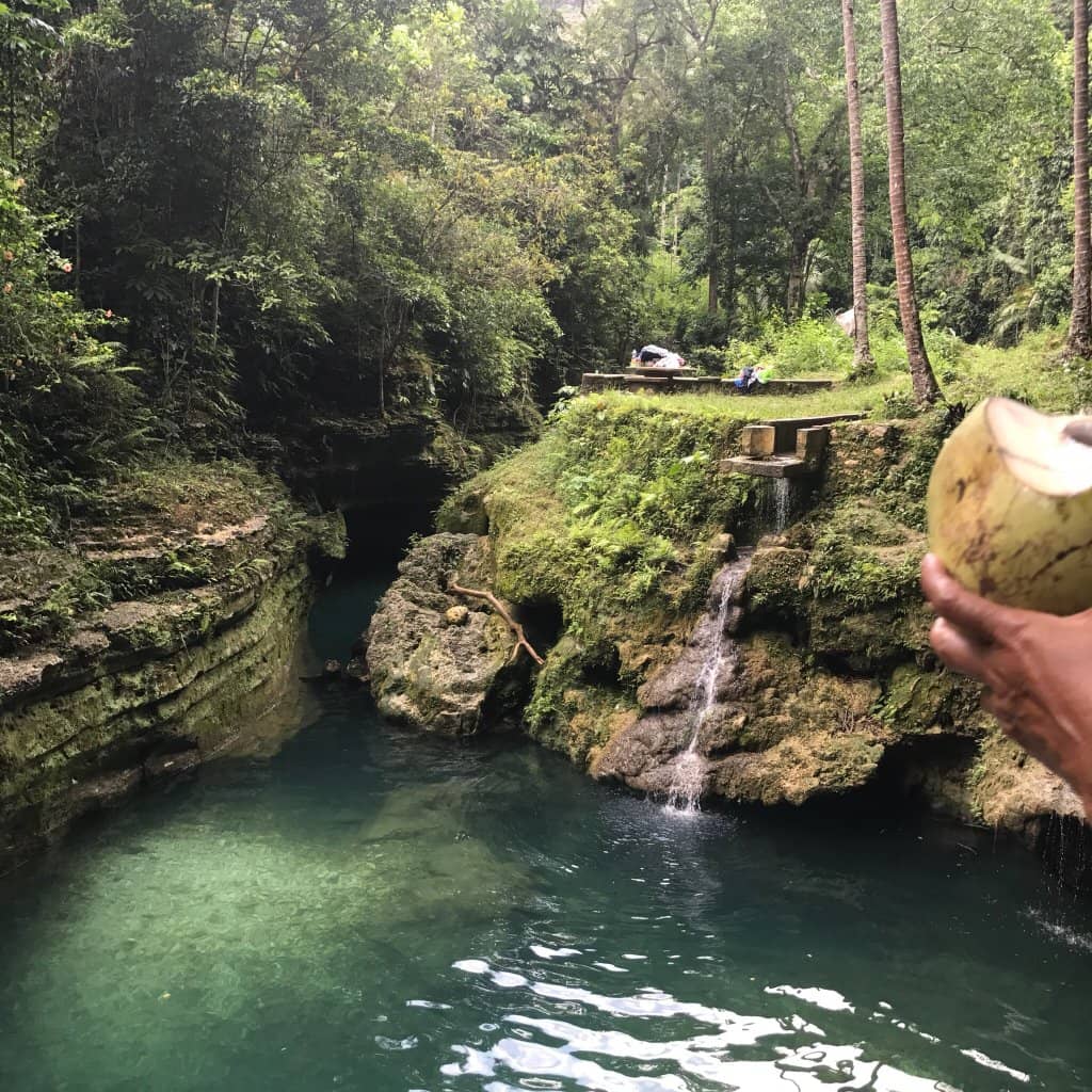 Jungle Serenity