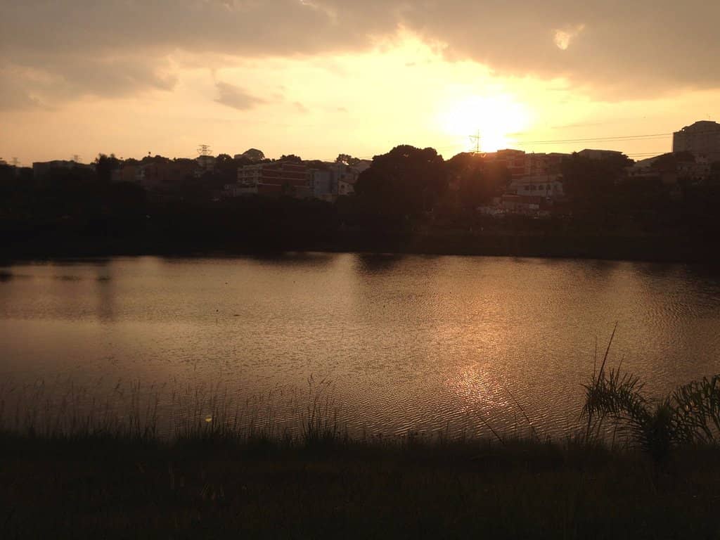 Aquatic Life Displays