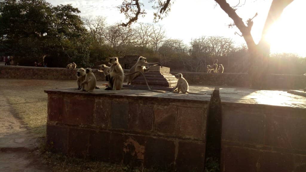 Ganesha's Complete Family