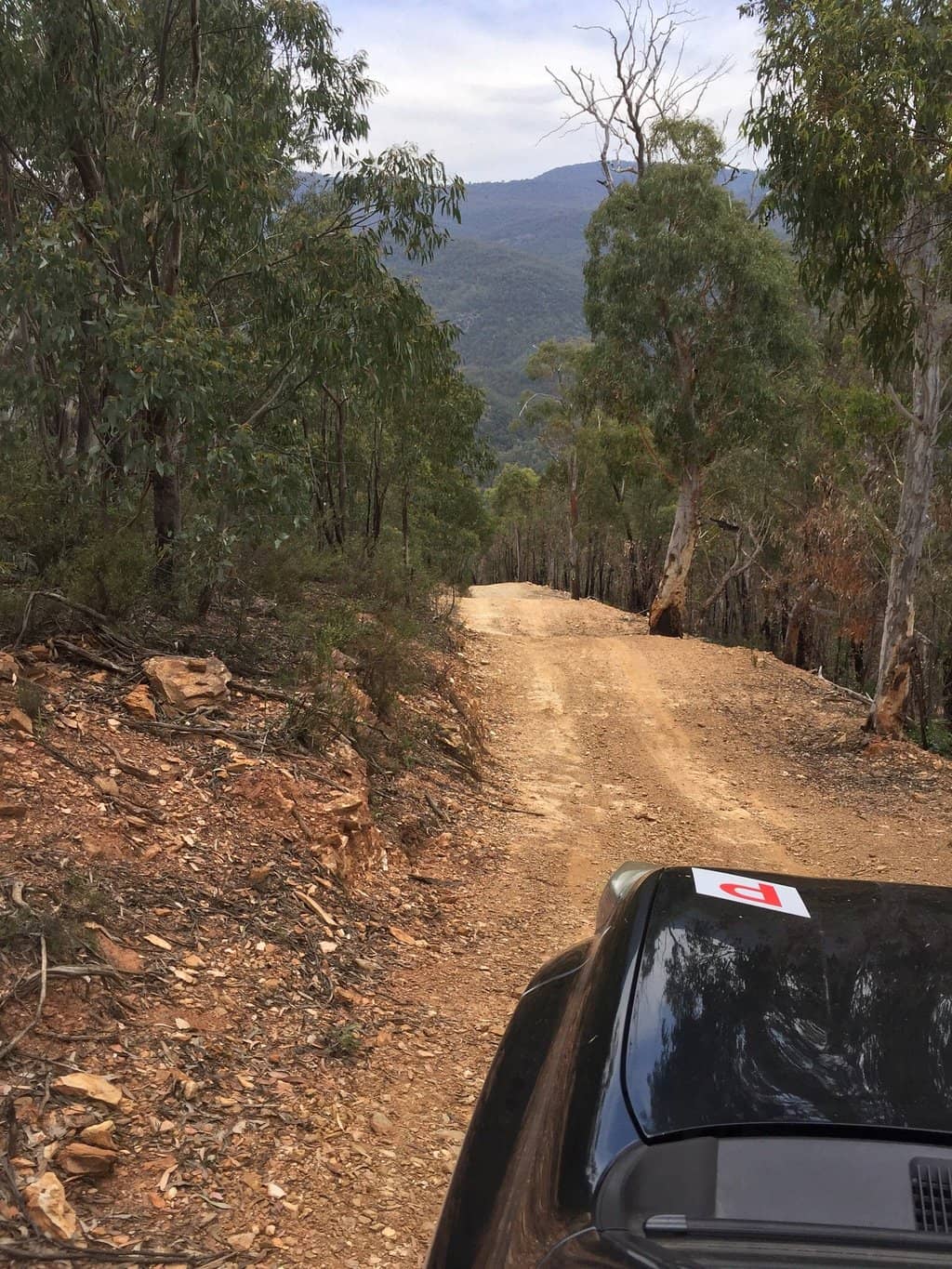 McIntyres Hut Camping