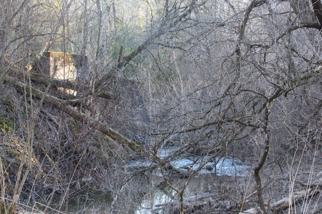 Turtle Trail Pond