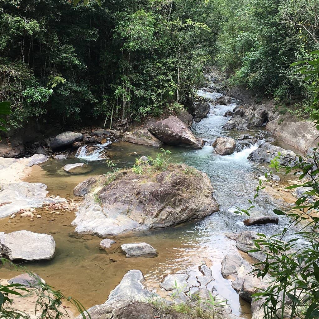 Natural Swimming Pool