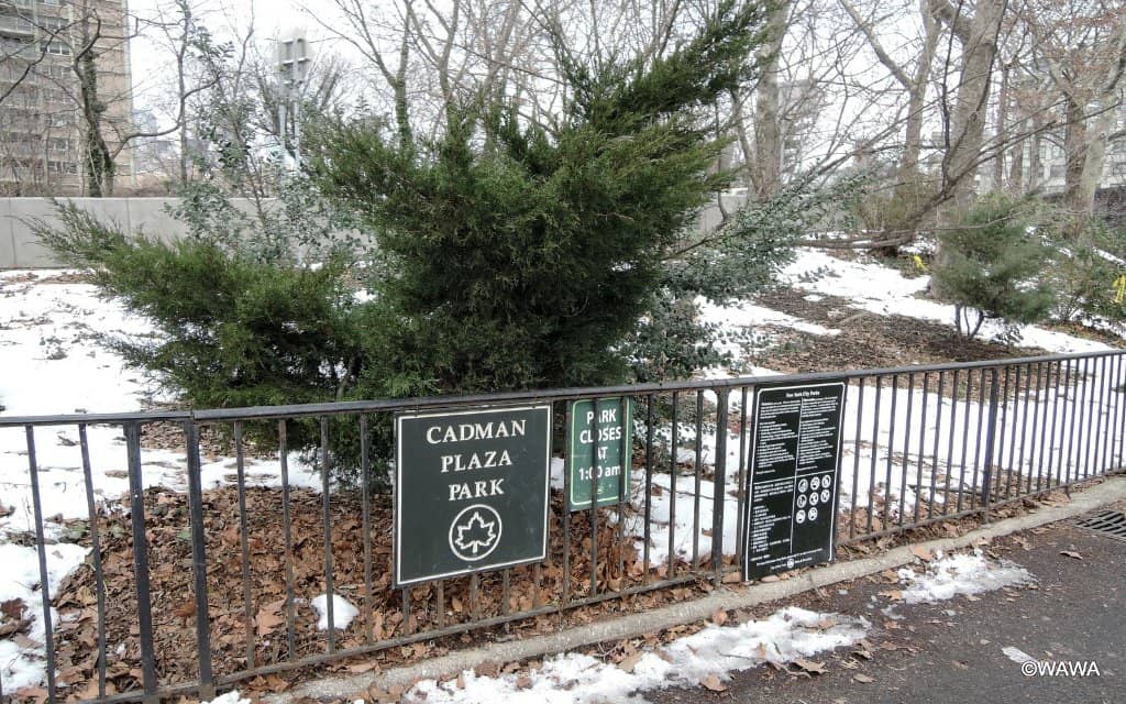 Community Garden & Green Spaces