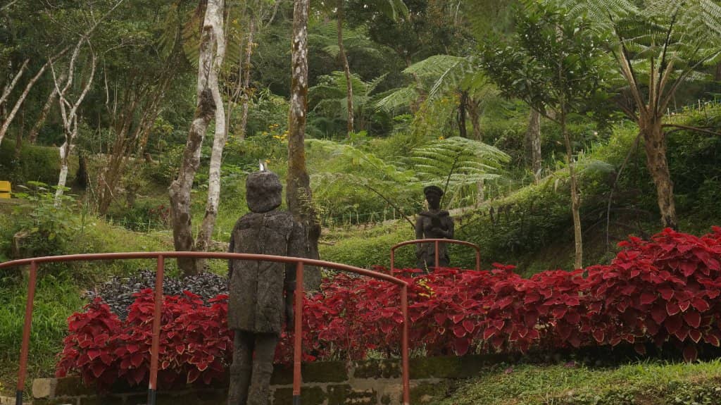 Themed Gardens