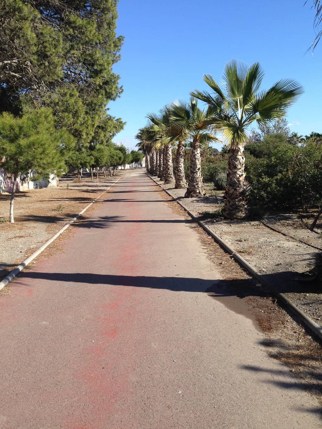 Expansive Green Spaces