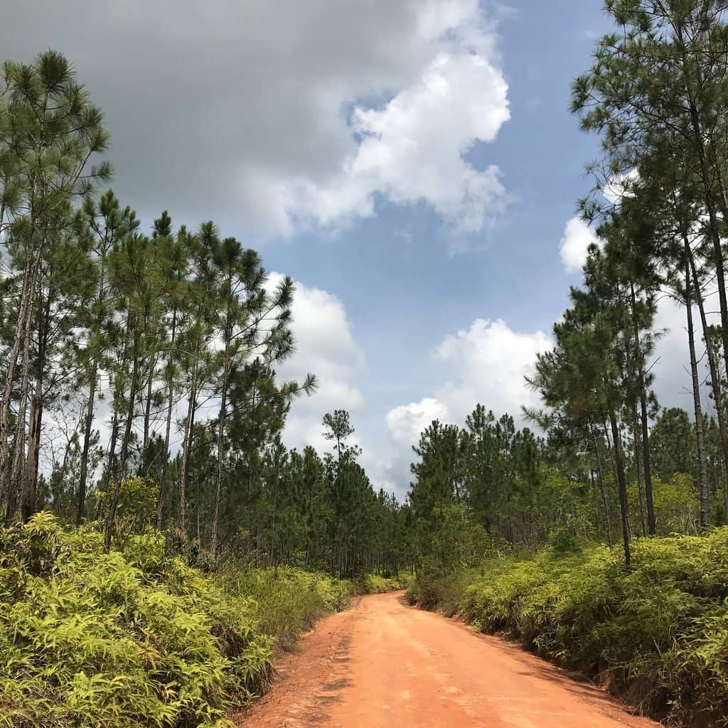 New Nature Trails