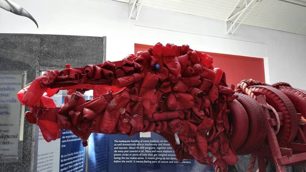 Immersive Ocean Exhibits