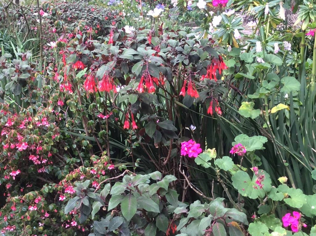 Labyrinth Garden