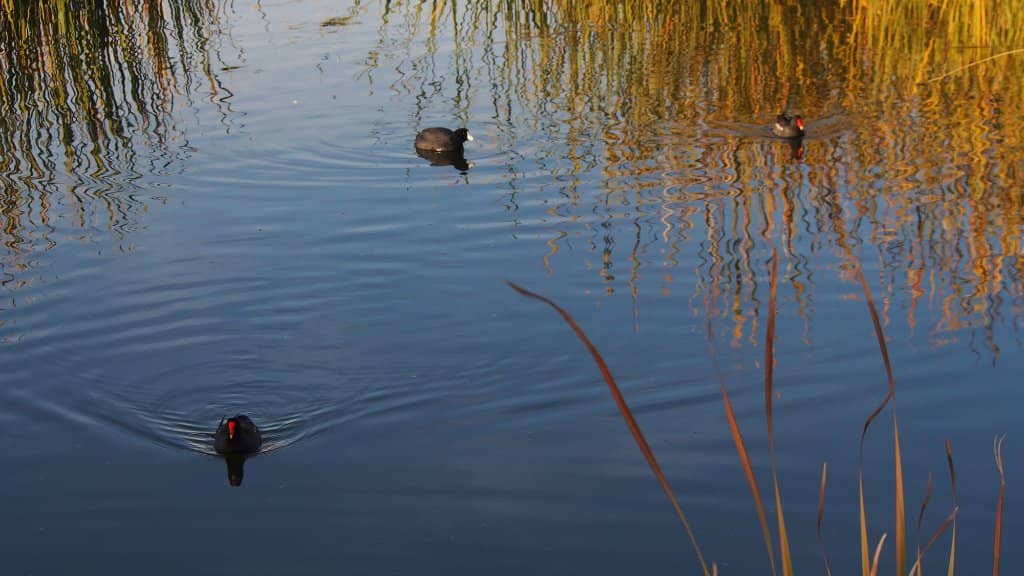 Paved & Unpaved Trails