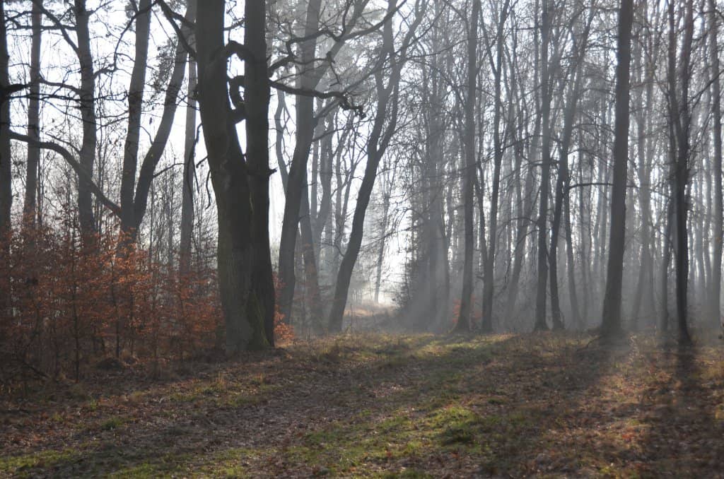 Czarny Staw (Black Pond)
